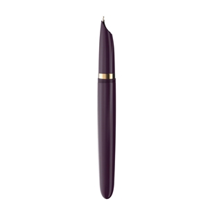 Parker 51  DLX Pióro wieczne Plum GT